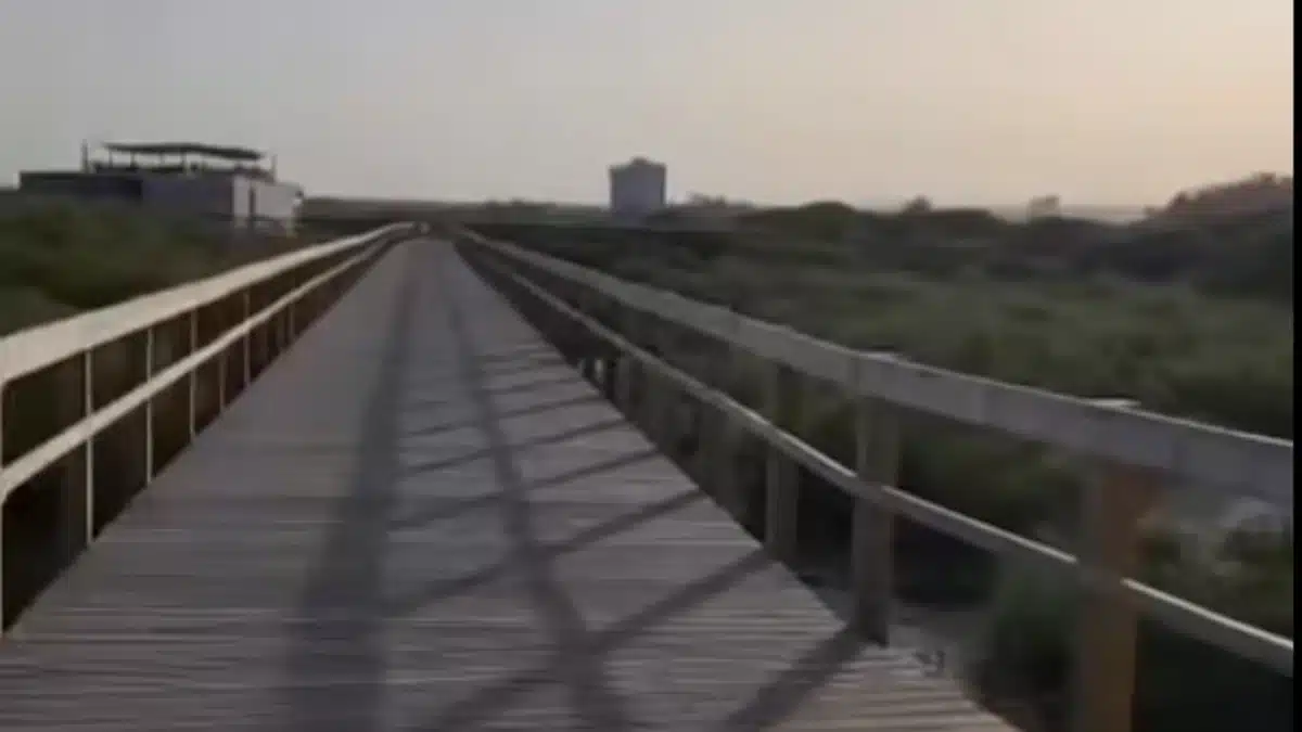 Passadiços